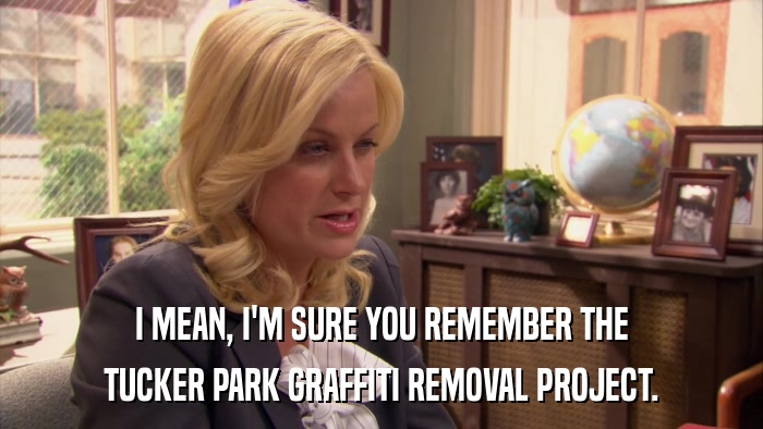I MEAN, I'M SURE YOU REMEMBER THE TUCKER PARK GRAFFITI REMOVAL PROJECT. 