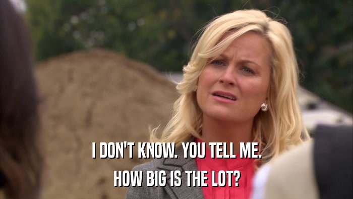 I DON'T KNOW. YOU TELL ME. HOW BIG IS THE LOT? 