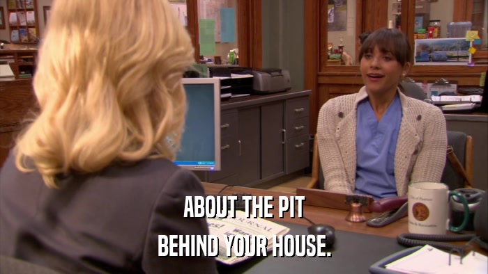 ABOUT THE PIT BEHIND YOUR HOUSE. 