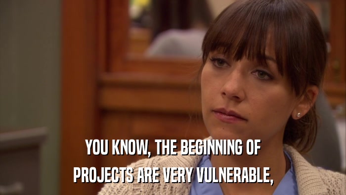 YOU KNOW, THE BEGINNING OF PROJECTS ARE VERY VULNERABLE, 