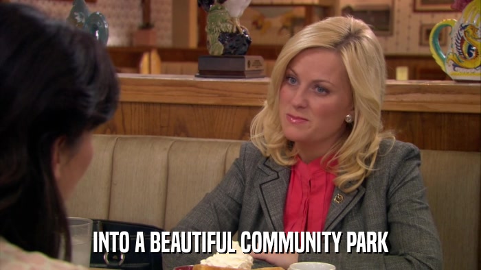 INTO A BEAUTIFUL COMMUNITY PARK  