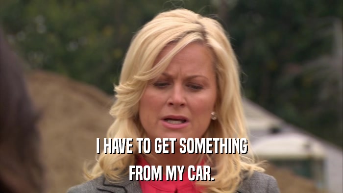 I HAVE TO GET SOMETHING FROM MY CAR. 