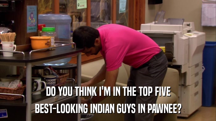 DO YOU THINK I'M IN THE TOP FIVE BEST-LOOKING INDIAN GUYS IN PAWNEE? 