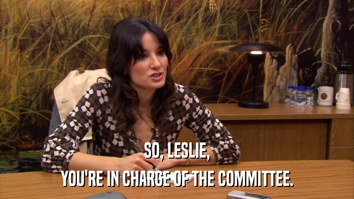 SO, LESLIE, YOU'RE IN CHARGE OF THE COMMITTEE. 