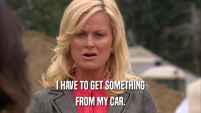 I HAVE TO GET SOMETHING FROM MY CAR. 