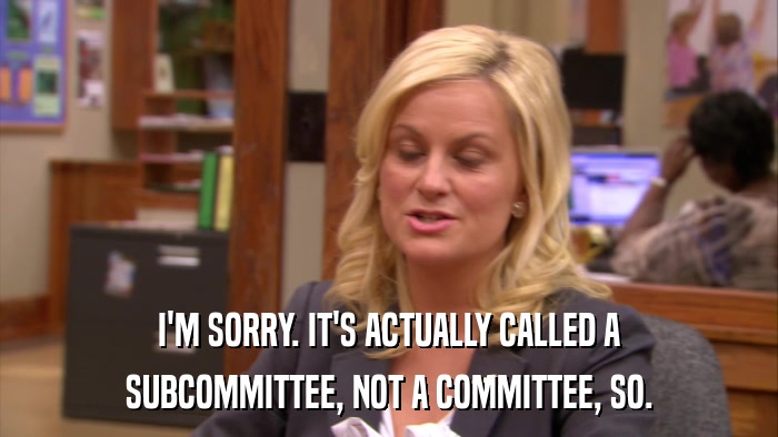 I'M SORRY. IT'S ACTUALLY CALLED A SUBCOMMITTEE, NOT A COMMITTEE, SO. 