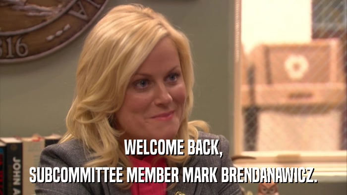 WELCOME BACK, SUBCOMMITTEE MEMBER MARK BRENDANAWICZ. 