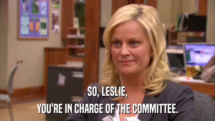SO, LESLIE, YOU'RE IN CHARGE OF THE COMMITTEE. 