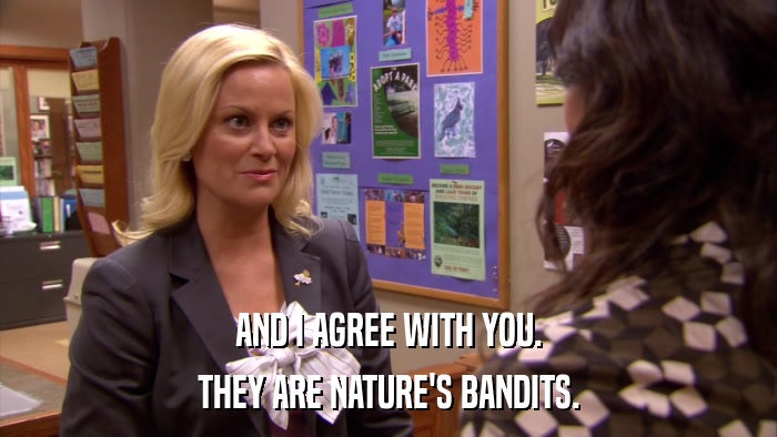 AND I AGREE WITH YOU. THEY ARE NATURE'S BANDITS. 