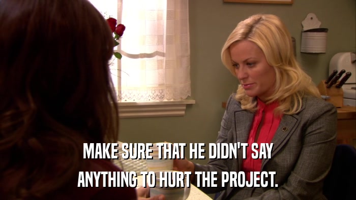 MAKE SURE THAT HE DIDN'T SAY ANYTHING TO HURT THE PROJECT. 