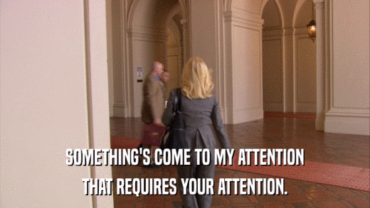 SOMETHING'S COME TO MY ATTENTION THAT REQUIRES YOUR ATTENTION. 
