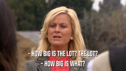 - HOW BIG IS THE LOT? THE LOT? - HOW BIG IS WHAT? 