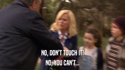 NO, DON'T TOUCH IT! NO, YOU CAN'T... 