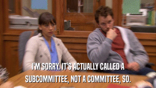 I'M SORRY. IT'S ACTUALLY CALLED A SUBCOMMITTEE, NOT A COMMITTEE, SO. 
