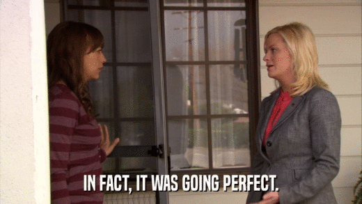 IN FACT, IT WAS GOING PERFECT.  