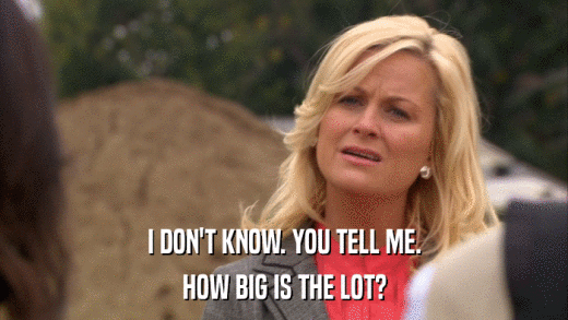 I DON'T KNOW. YOU TELL ME. HOW BIG IS THE LOT? 