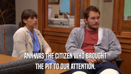 ANN WAS THE CITIZEN WHO BROUGHT THE PIT TO OUR ATTENTION. 