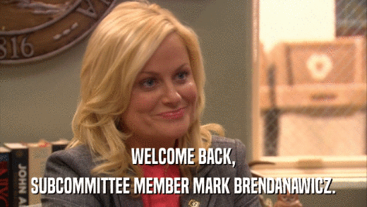 WELCOME BACK, SUBCOMMITTEE MEMBER MARK BRENDANAWICZ. 