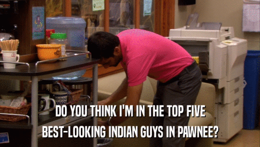 DO YOU THINK I'M IN THE TOP FIVE BEST-LOOKING INDIAN GUYS IN PAWNEE? 