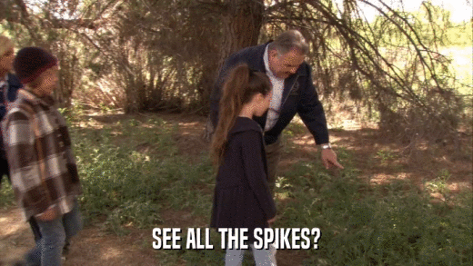 SEE ALL THE SPIKES?  