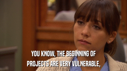 YOU KNOW, THE BEGINNING OF PROJECTS ARE VERY VULNERABLE, 
