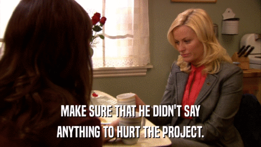 MAKE SURE THAT HE DIDN'T SAY ANYTHING TO HURT THE PROJECT. 