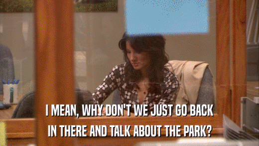 I MEAN, WHY DON'T WE JUST GO BACK IN THERE AND TALK ABOUT THE PARK? 