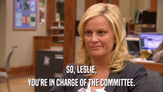 SO, LESLIE, YOU'RE IN CHARGE OF THE COMMITTEE. 