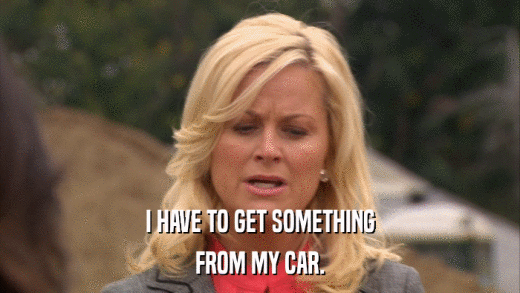 I HAVE TO GET SOMETHING FROM MY CAR. 