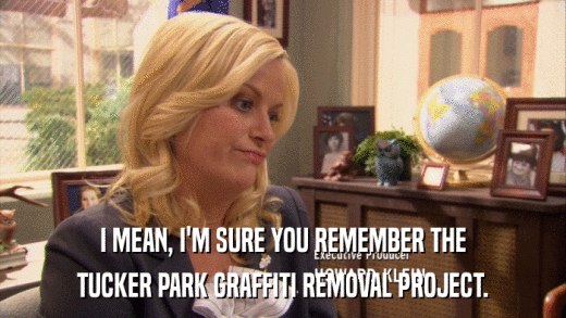 I MEAN, I'M SURE YOU REMEMBER THE TUCKER PARK GRAFFITI REMOVAL PROJECT. 