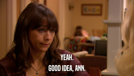 YEAH. GOOD IDEA, ANN. 