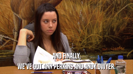 AND FINALLY, WE'VE GOT ANN PERKINS AND ANDY DWYER. 