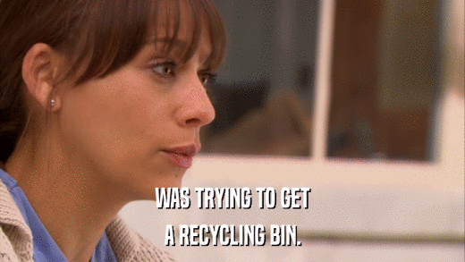 WAS TRYING TO GET A RECYCLING BIN. 