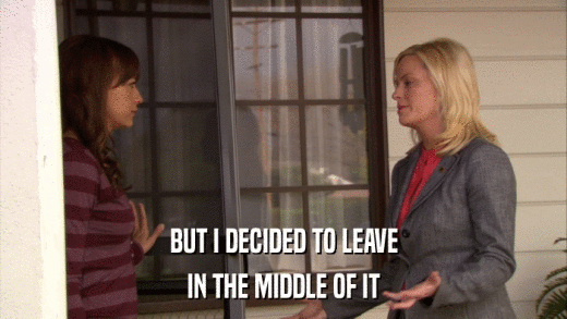 BUT I DECIDED TO LEAVE IN THE MIDDLE OF IT 
