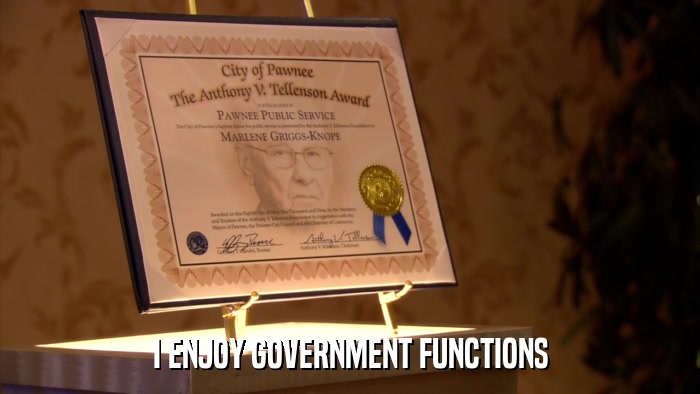 I ENJOY GOVERNMENT FUNCTIONS  