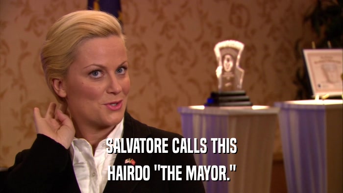 SALVATORE CALLS THIS HAIRDO 
