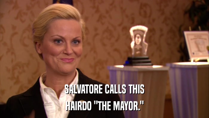 SALVATORE CALLS THIS HAIRDO 
