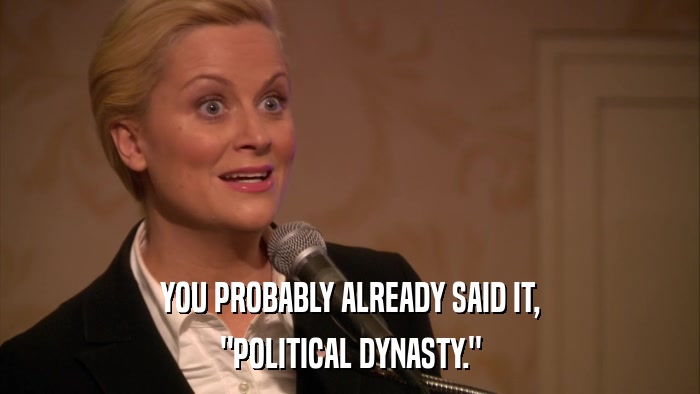 YOU PROBABLY ALREADY SAID IT, 