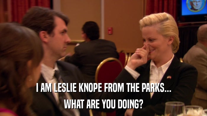 I AM LESLIE KNOPE FROM THE PARKS... WHAT ARE YOU DOING? 