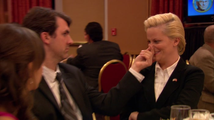 I AM LESLIE KNOPE FROM THE PARKS... WHAT ARE YOU DOING? 