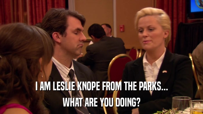 I AM LESLIE KNOPE FROM THE PARKS... WHAT ARE YOU DOING? 