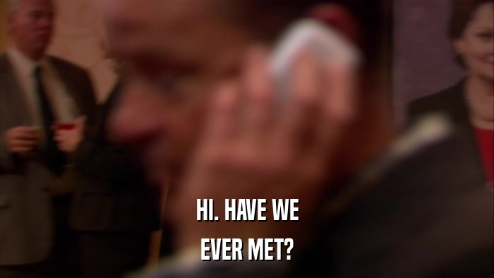 HI. HAVE WE EVER MET? 