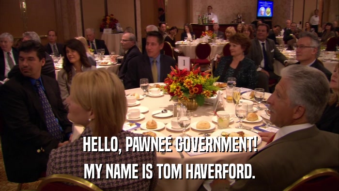 HELLO, PAWNEE GOVERNMENT! MY NAME IS TOM HAVERFORD. 