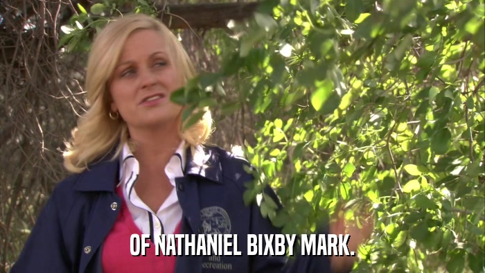 OF NATHANIEL BIXBY MARK.  