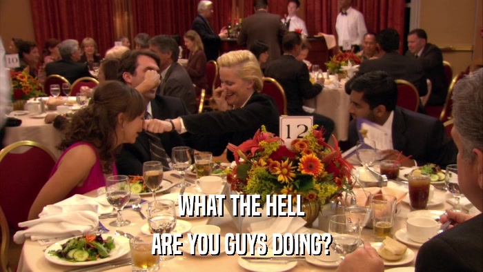 WHAT THE HELL ARE YOU GUYS DOING? 