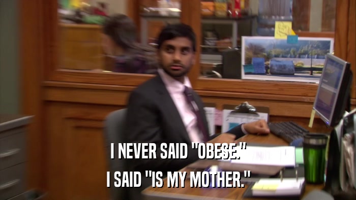 I NEVER SAID 