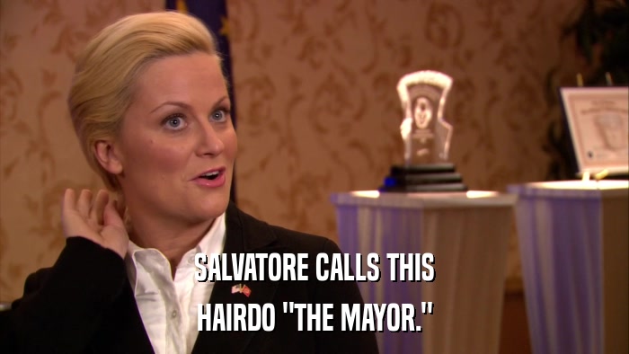 SALVATORE CALLS THIS HAIRDO 