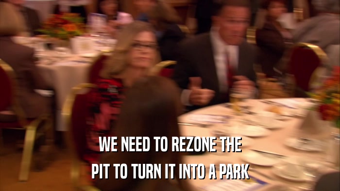 WE NEED TO REZONE THE PIT TO TURN IT INTO A PARK 