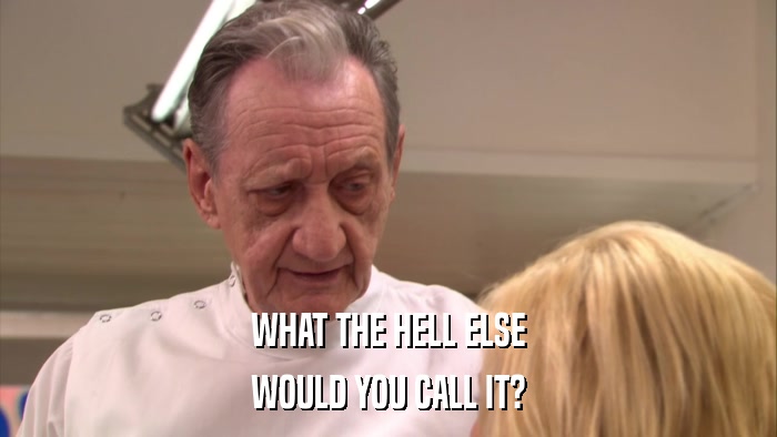 WHAT THE HELL ELSE WOULD YOU CALL IT? 