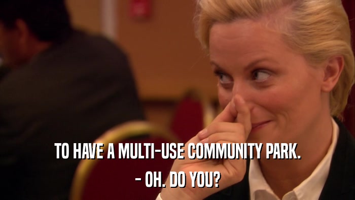 TO HAVE A MULTI-USE COMMUNITY PARK. - OH. DO YOU? 